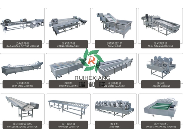 玉米加工流水线